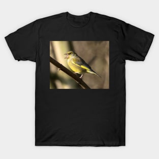 A greenfinch in a English garden T-Shirt